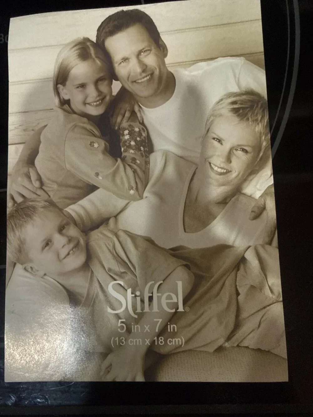 Stiffel Mother of Pearl Tabletop Picture Frame Holds 5x7” Photo Silvertone Metal